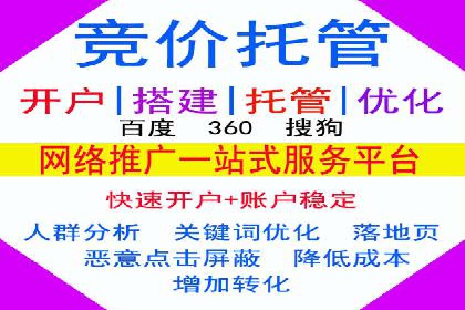 行业应用案例：SEM代运营公司的智慧与策略